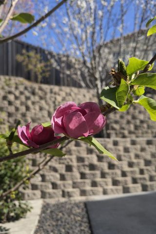 2557 Creek Hollow Rd, Rocklin, CA 95765