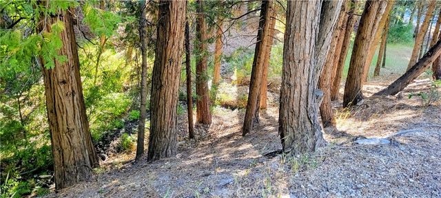 0 Grass Valley, Lake Arrowhead, CA 92352