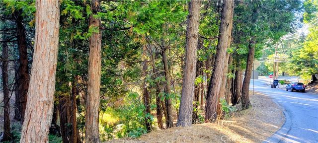 0 Grass Valley, Lake Arrowhead, CA 92352