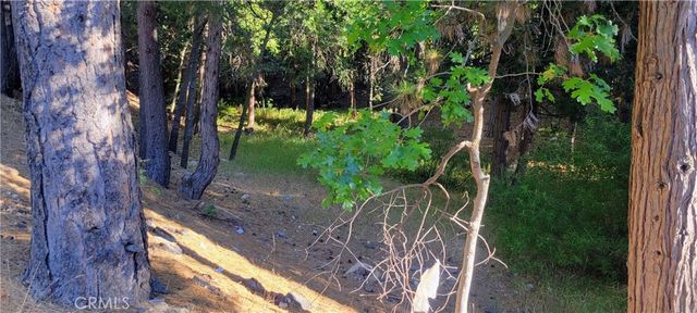 0 Grass Valley, Lake Arrowhead, CA 92352