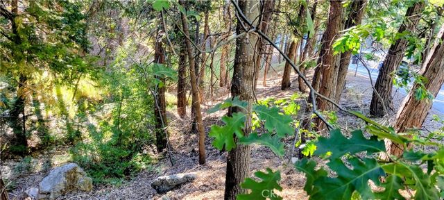 0 Grass Valley, Lake Arrowhead, CA 92352