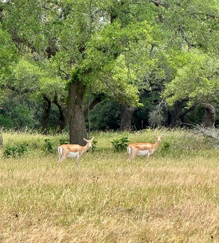 Lot 97 Big Sky CT, Blanco, TX 78606