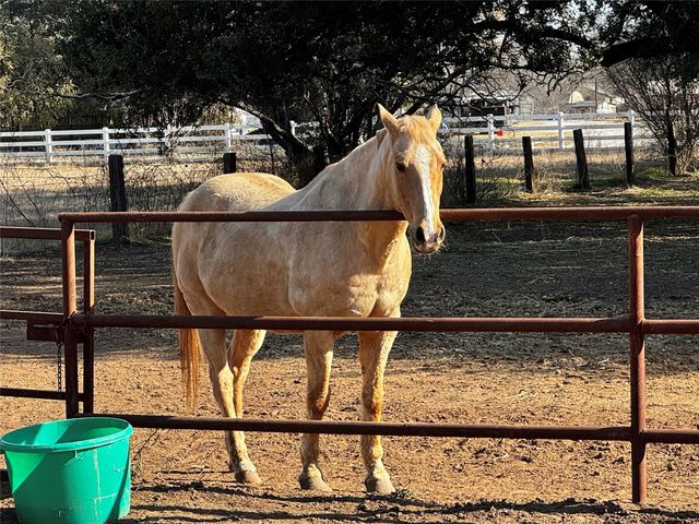 4314 Old Granbury Road, Granbury, TX 76049