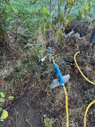 32840 Scales, Lake Elsinore, CA 92530