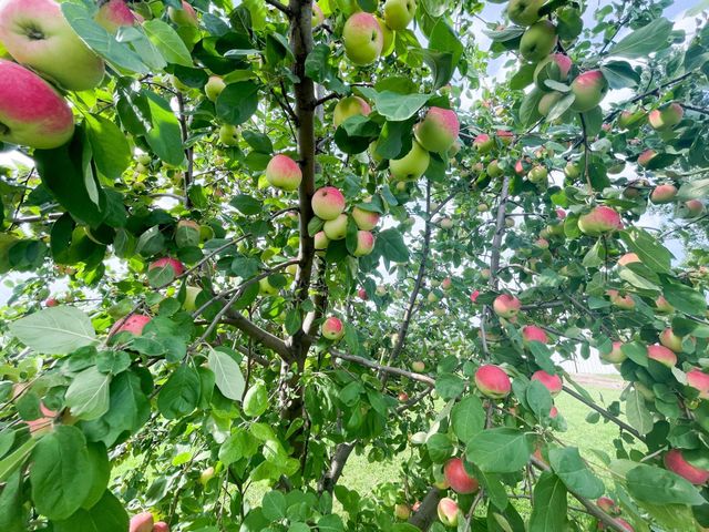 49404 109th Avenue, Gonvick, MN 56644