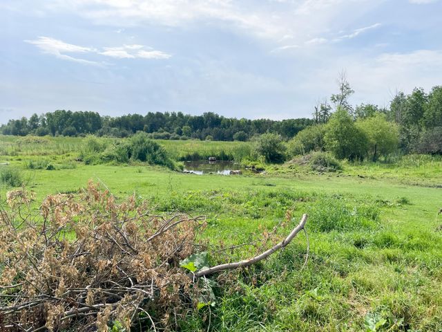 49404 109th Avenue, Gonvick, MN 56644