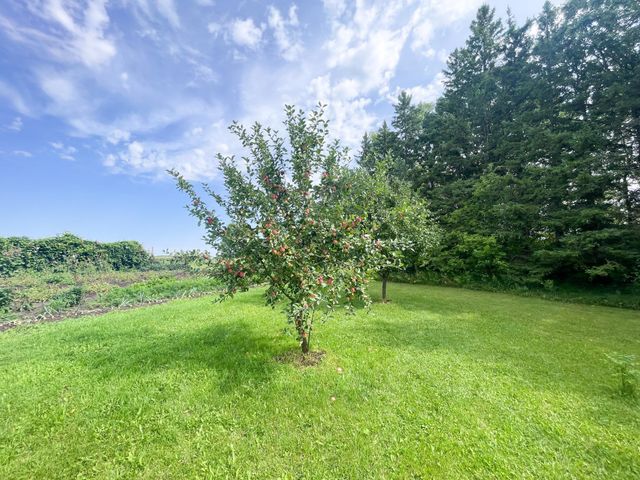 49404 109th Avenue, Gonvick, MN 56644