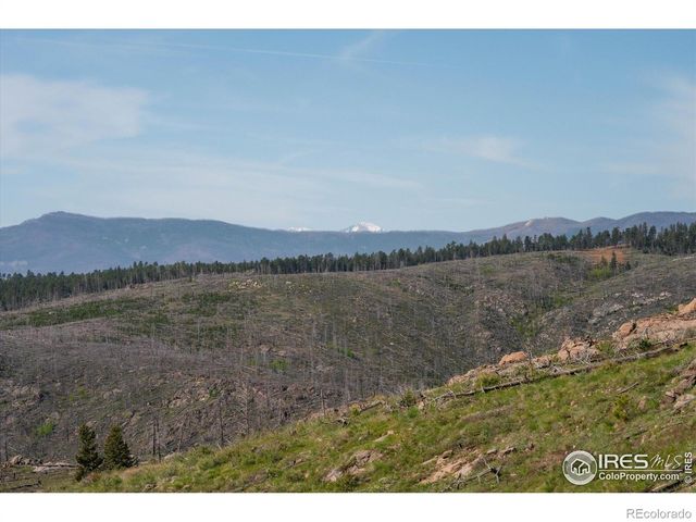 4119 Davis Ranch Road, Bellvue, CO 80512