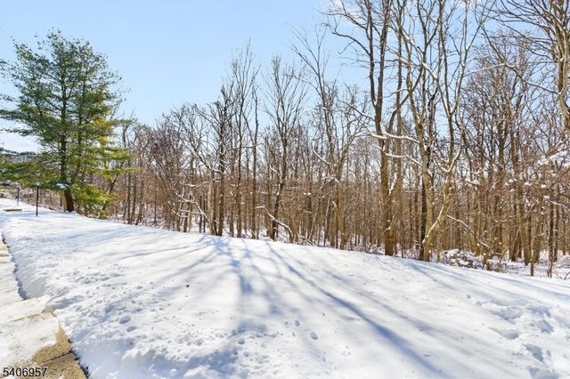 64 Encampment Drive, Bedminster Twp., NJ 07921