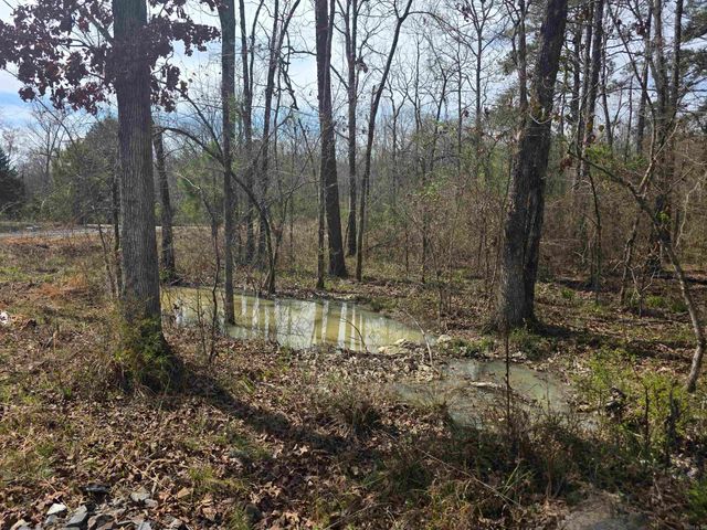 160 Polk Road 721, Mena, AR 71953