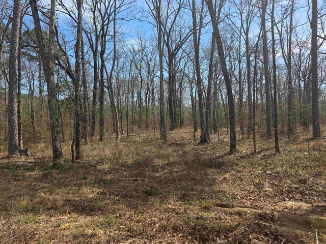 160 Polk Road 721, Mena, AR 71953