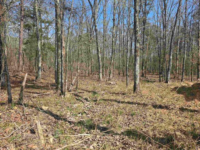 160 Polk Road 721, Mena, AR 71953