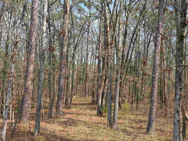 160 Polk Road 721, Mena, AR 71953