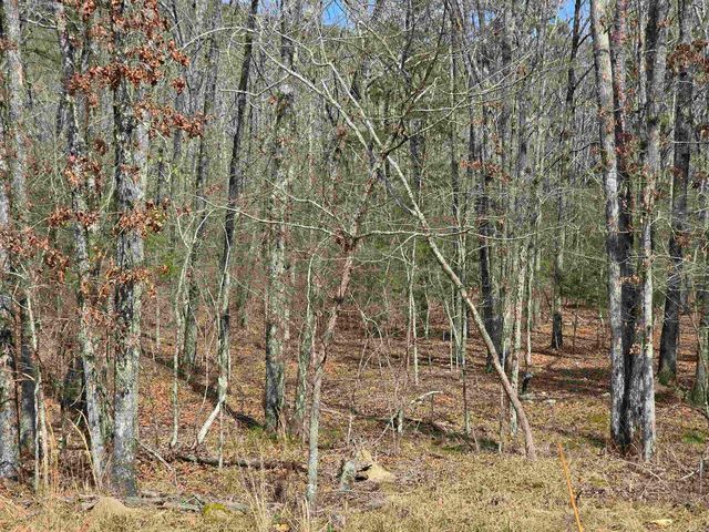 160 Polk Road 721, Mena, AR 71953