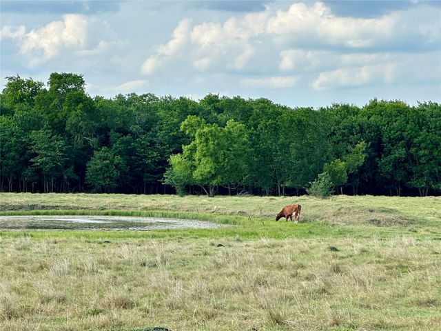 2129 County Road 2130, Cooper, TX 75432