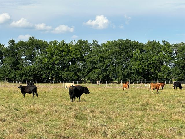2129 County Road 2130, Cooper, TX 75432
