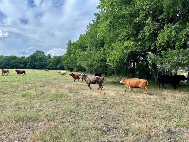 2129 County Road 2130, Cooper, TX 75432
