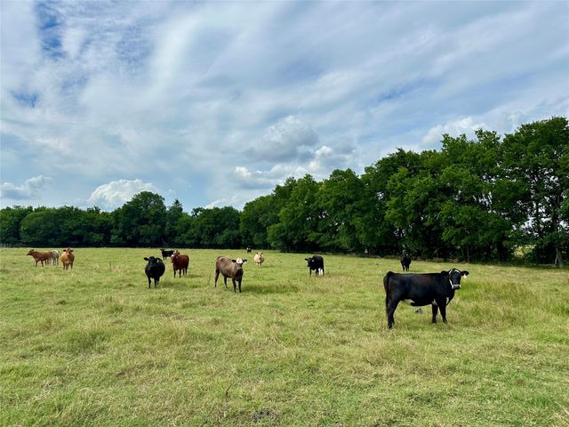 2129 County Road 2130, Cooper, TX 75432
