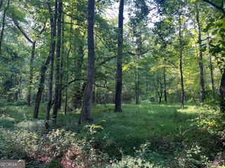 0 Mac Garner Road, Temple, GA 30179