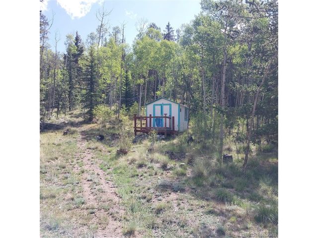 1391 Ute Trl, Como, CO 80432