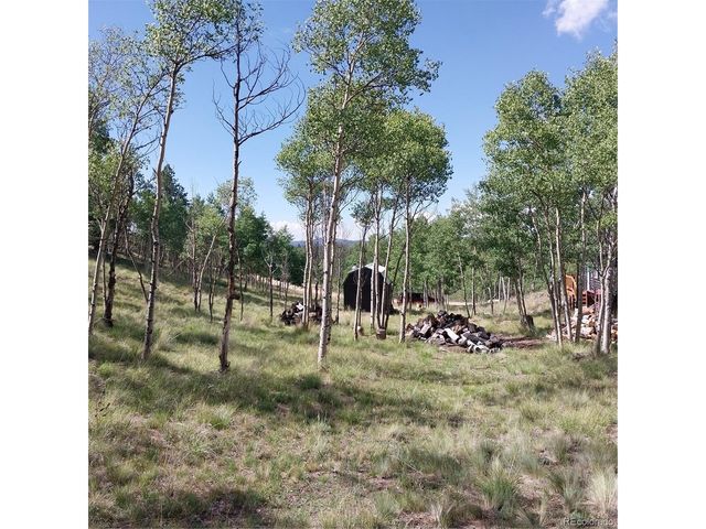 1391 Ute Trl, Como, CO 80432