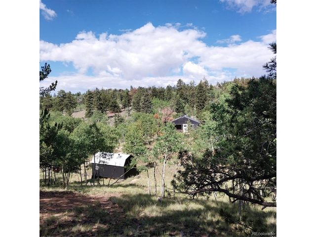 1391 Ute Trl, Como, CO 80432