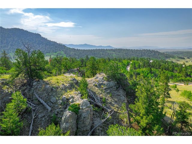 1391 Ute Trl, Como, CO 80432