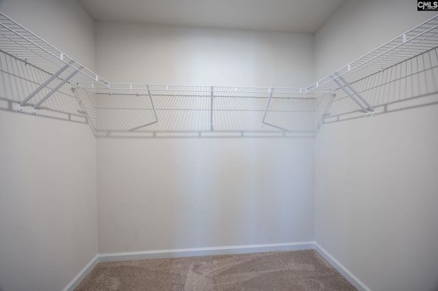 173 Council Loop, Columbia, SC 29209