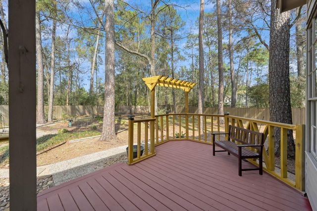 205 Purple Slate Place, The Woodlands, TX 77381