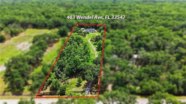 403 WENDEL AVENUE, Lithia, FL 33547