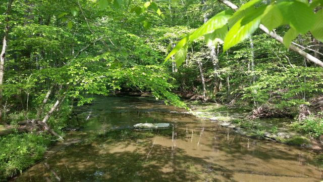 7454 Sugar Camp Hollow Rd, Fairview, TN 37062