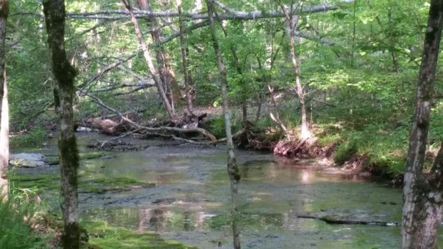 7454 Sugar Camp Hollow Rd, Fairview, TN 37062