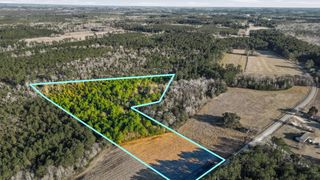 TBD Black Creek Rd., Nichols, SC 29581