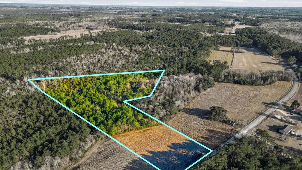 TBD Black Creek Rd., Nichols, SC 29581 — exterior