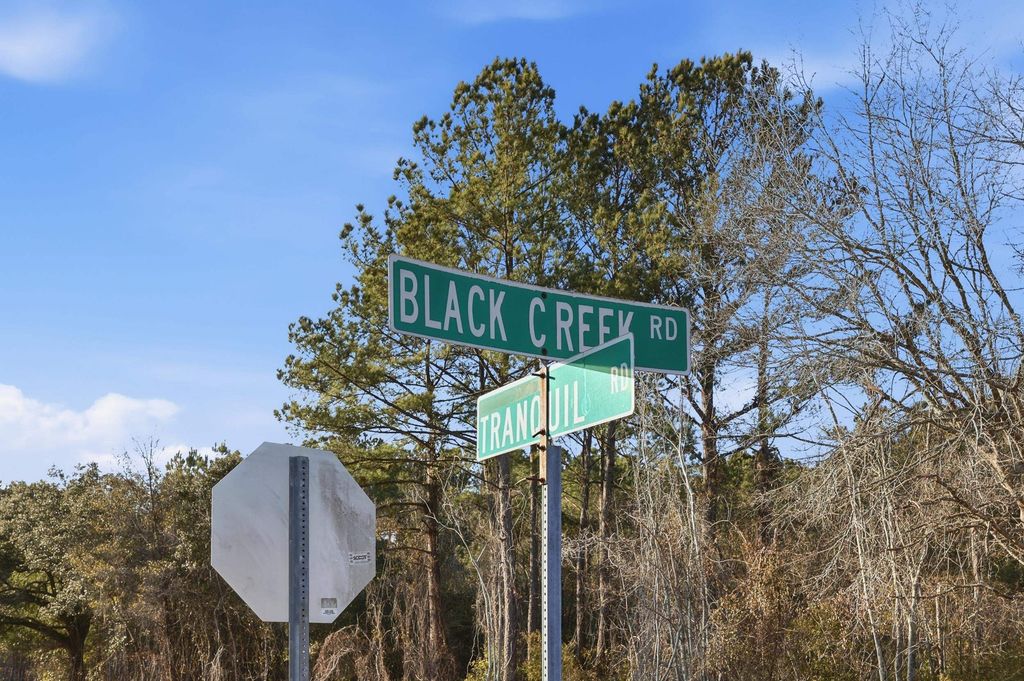 TBD Black Creek Rd., Nichols, SC 29581 — photo 2