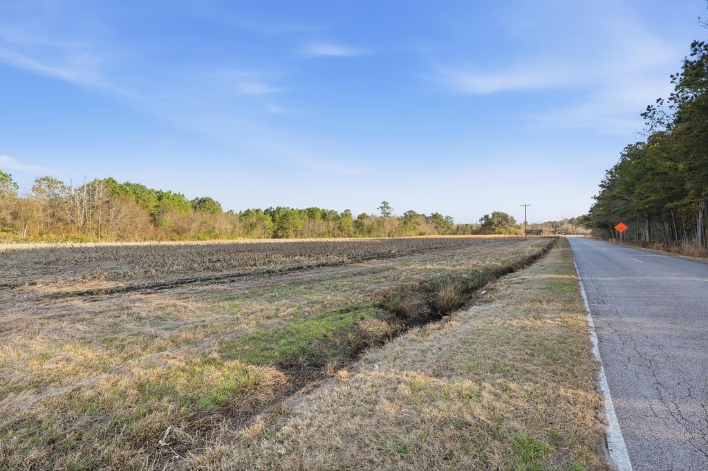 TBD Black Creek Rd., Nichols, SC 29581 — photo 3