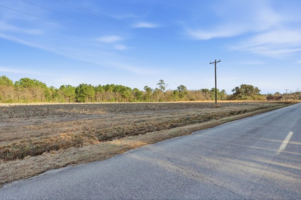 TBD Black Creek Rd., Nichols, SC 29581 — photo 4