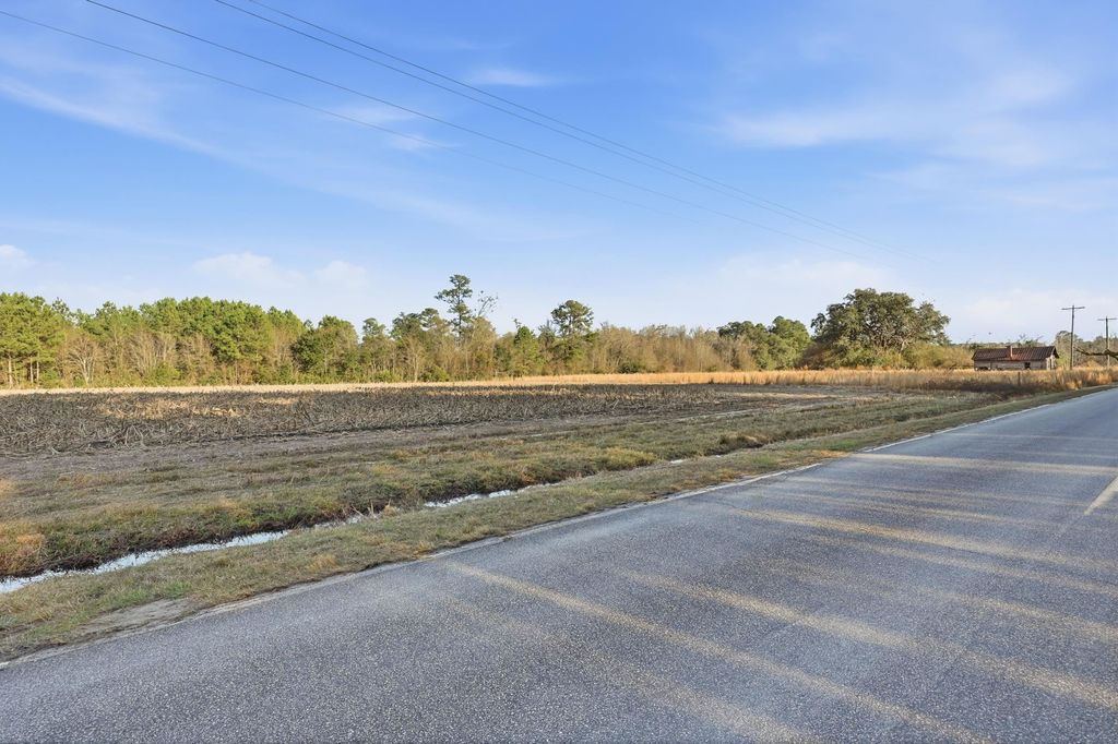 TBD Black Creek Rd., Nichols, SC 29581 — photo 5