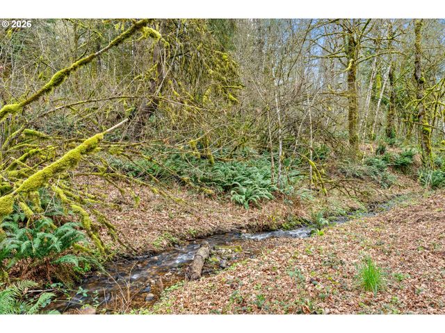 7015 Ne FERRIS Rd, La Center, WA 98629