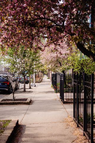 3056 N Paulina Street, Chicago, IL 60657