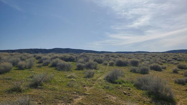 130th St West & Avenue I-8, Lancaster, CA 93536