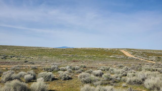 130th St West & Avenue I-8, Lancaster, CA 93536