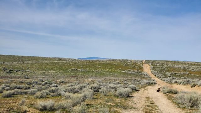 130th St West & Avenue I-8, Lancaster, CA 93536