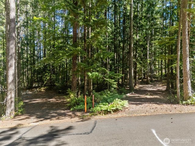 331 N. Dow Mtn. Drive, Hoodsport, WA 98548