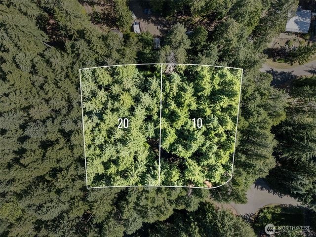 331 N. Dow Mtn. Drive, Hoodsport, WA 98548