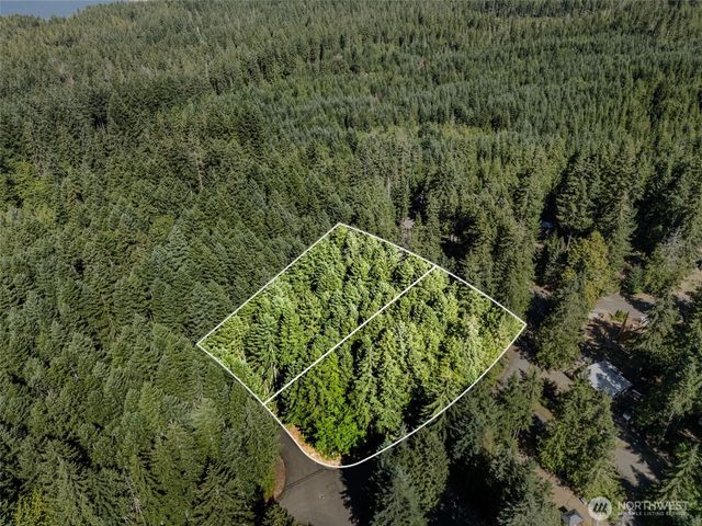 331 N. Dow Mtn. Drive, Hoodsport, WA 98548