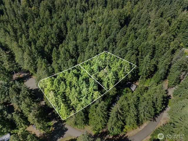 331 N. Dow Mtn. Drive, Hoodsport, WA 98548