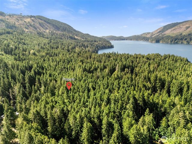 331 N. Dow Mtn. Drive, Hoodsport, WA 98548