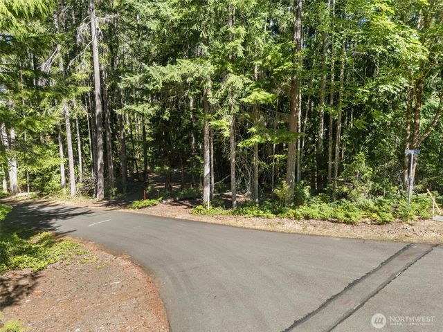 331 N. Dow Mtn. Drive, Hoodsport, WA 98548