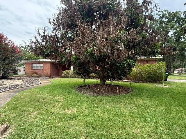 605 COURTNEY DRIVE, Tampa, FL 33617